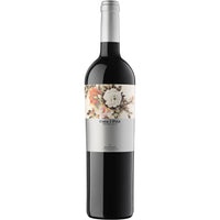 Coca i Fito Negre 2013