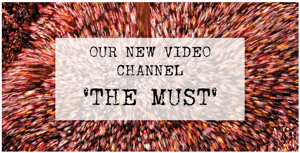 Our new video channel - The Must